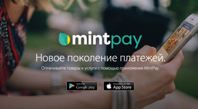 Mintpay1