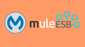 Mule-esb-training-300x179