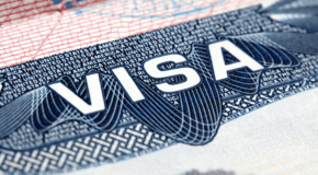 H1b_visa_stats