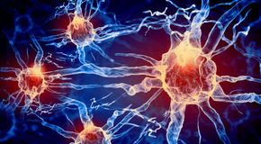 Neurons_sciencedaily