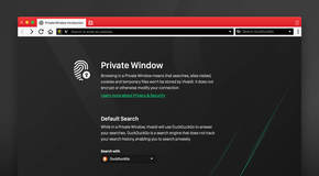 Vivaldi_duckduckgo