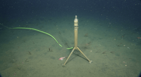 Mbari_mic